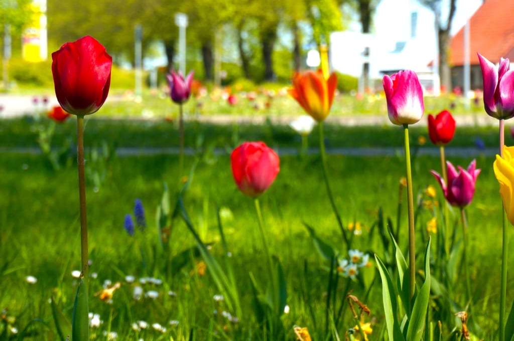 Ostern an der Ostsee in Kühlungsborn